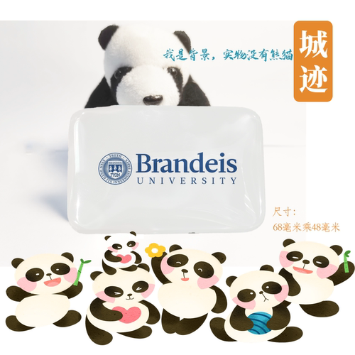 Brandeis University布兰迪斯大学冰箱贴布兰迪斯大学冰箱贴