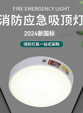 新国标东君集中电源型36V明装吸顶灯 IP67防水消防应急吸顶灯15cm