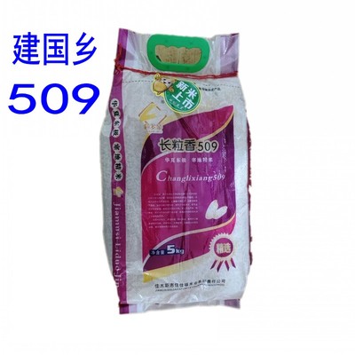 2025新米东北长粒香509大米黑龙江佳木斯建国乡星火大米10斤