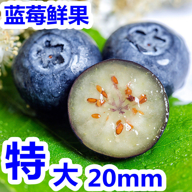 新鲜蓝莓鲜果大果蓝梅现摘当季山东水果4盒整箱孕妇宝宝副食包邮