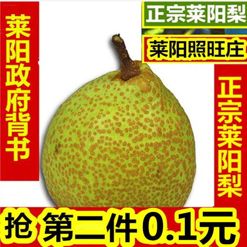 莱阳梨正宗山东莱阳特产新鲜水果5斤批1包邮正宗莱阳慈梨茬梨子