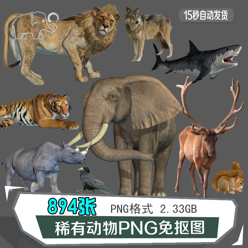 珍稀有动物摄影参考高清设计大图PNG免扣抠透明背景素材资源鉴赏