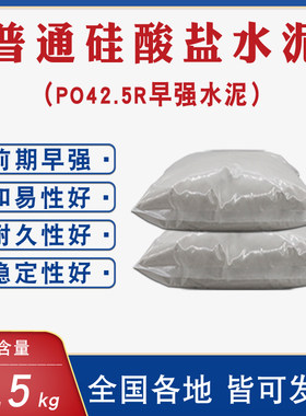 海螺水泥早强水泥实验水泥