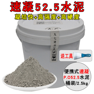 速凝水泥硅酸盐po52.5高标号525防水补漏洞快硬早强速干快干水泥