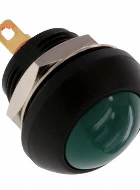 PB6B2RS6M2CAL00 |原装全新SWITCH PUSH SPST-NO 125MA 125V