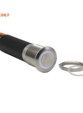 SS119NBSWW |前面板安装SWITCH PB SPST N.O. 24A 26.4VDC