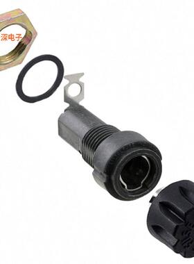 03420004X|面板安装FUSE HLDR CART 250V 20A PNL MN