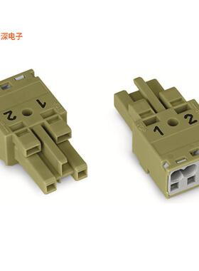 770-262 |插头，母插口TERM BLOCK PLUG 2POS 10MM