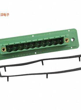 1899362 |接头，公引脚TERM BLK 10POS GREEN