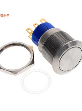 AV1921000R04 |前面板安装SWITCH PUSHBUTTON DPDT 0.4VA 20V