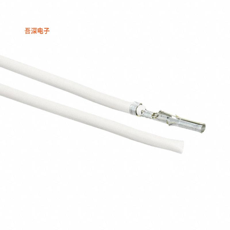 0002061101-10-W2 |接触端10