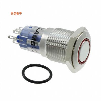 PV3WF2H0SS-315 |前面板安装SWITCH PUSHBUTTON DPDT 2A 48V