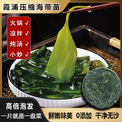 霞浦压缩嫩海带苗干货干海带丝条圆饼小包装火锅食材商用凉拌即食