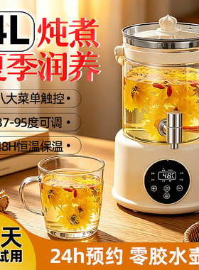【免费试用】新款带水龙头养生壶
