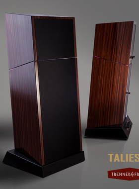 奥地利 贵艺 trenner&friedl TALIESIN HiFi无源音箱 落地式音箱