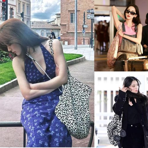 Emis~现货~赵露思娜扎宋慧乔韩素希同款购物袋帆布包包豹纹单肩包