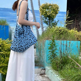 韩国emis包包女帆布包大豹纹百搭布袋大容量时尚潮牌通勤高级感
