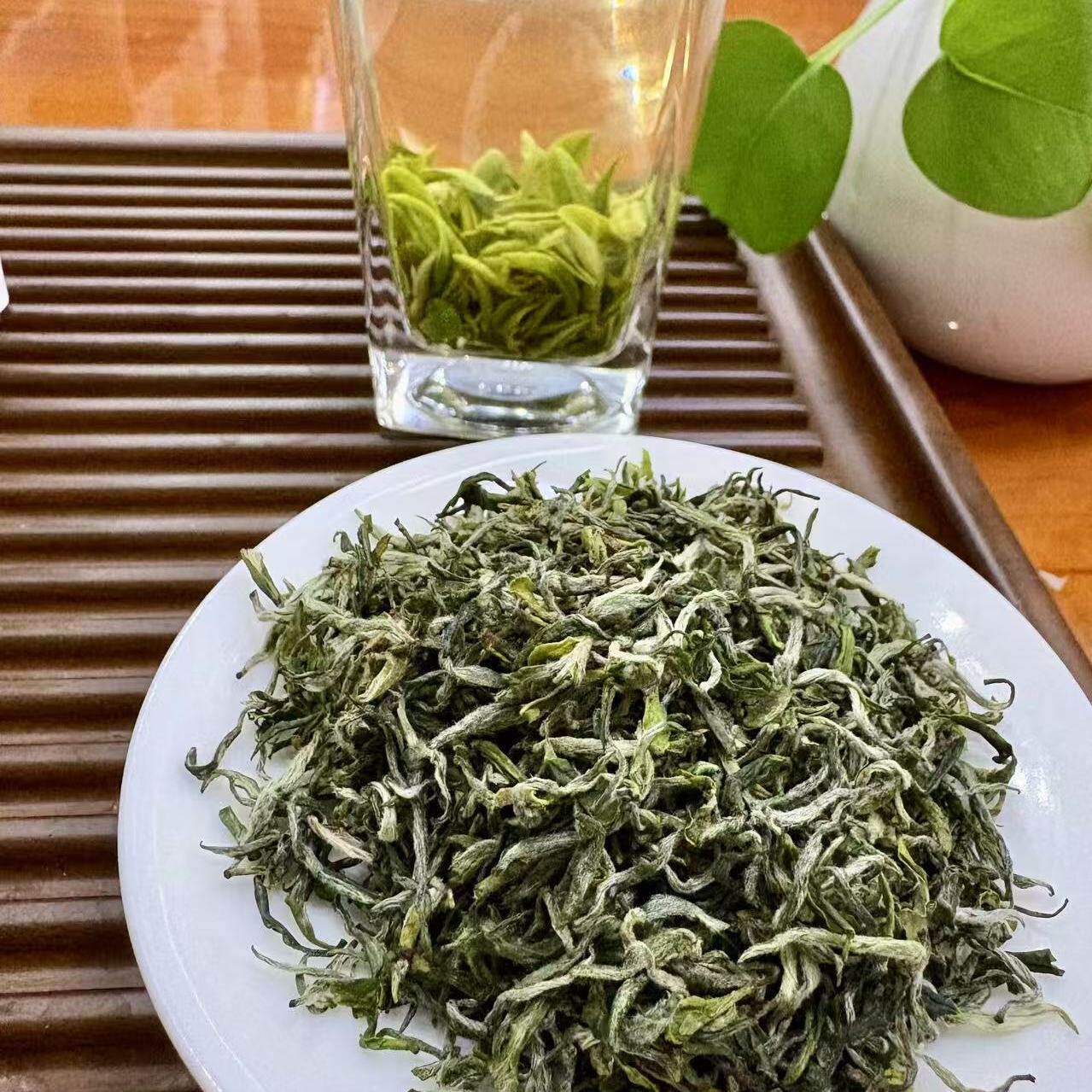 2026年新茶开园头采纯手工英山云雾茶特级草盘早春茶明前毛尖500g