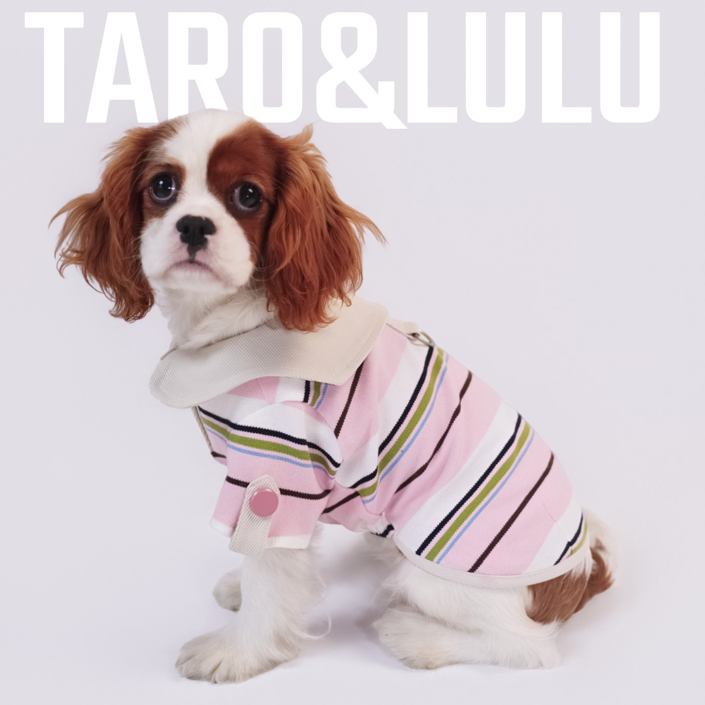 【Taro独立设计】狗狗衣服春秋防掉毛条纹泰迪小型犬薄款水手领