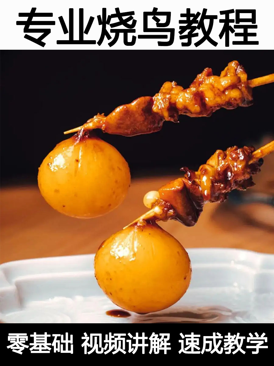 日本烧鸟教程摆摊创业技术配方街边地摊夜市商用秘方培训烧烤小吃