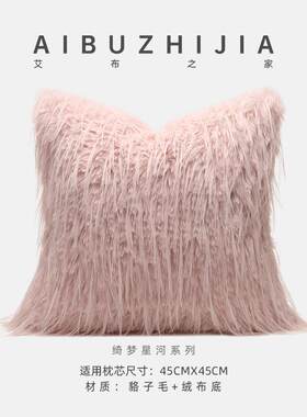 艾布之家现代轻奢高端款靠垫