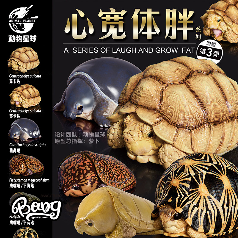 【bang】现货 动物星球 心宽体胖龟 第三弹 潮玩可爱动物手办摆件