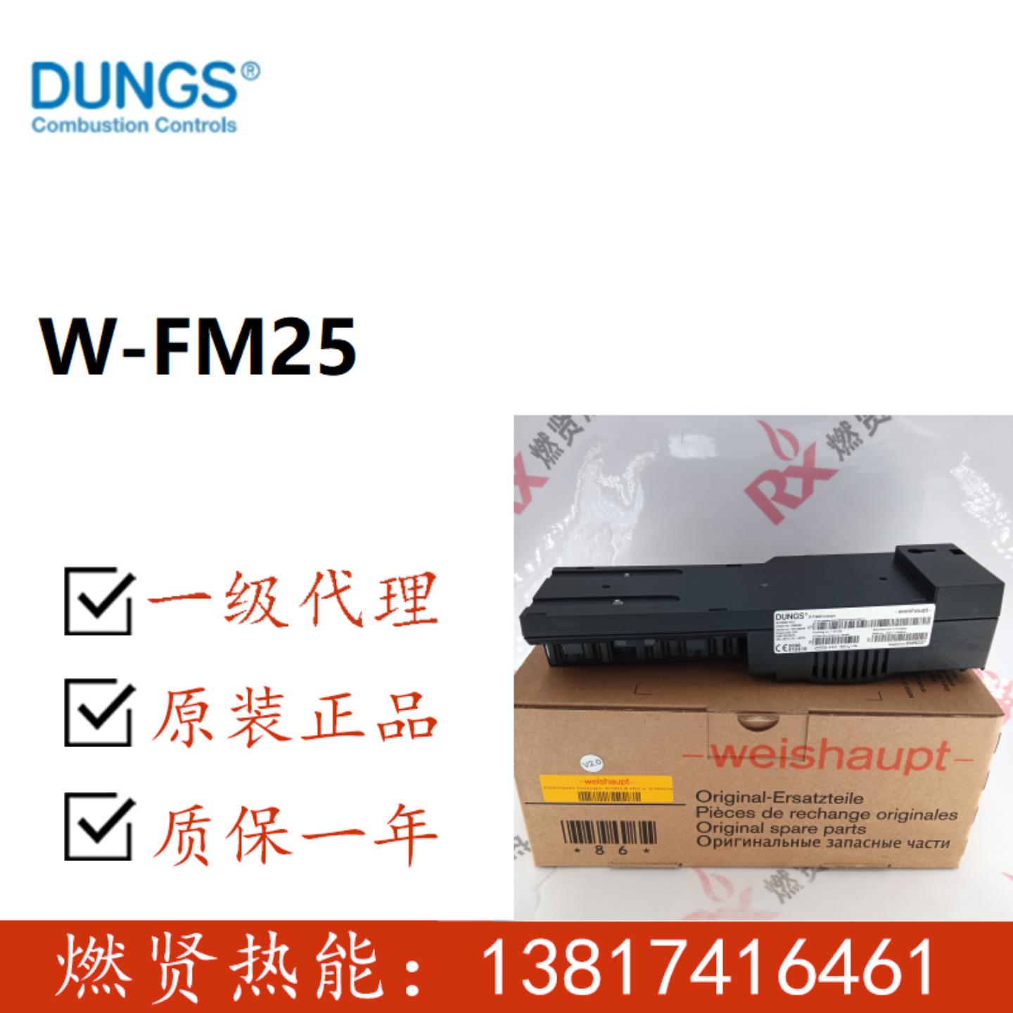 冬斯DUNGS W-FM25 PO V11 V20 weishaupt程控器W-FM EM33
