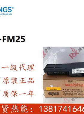 冬斯DUNGS W-FM25 PO V11 V20 weishaupt程控器W-FM EM33