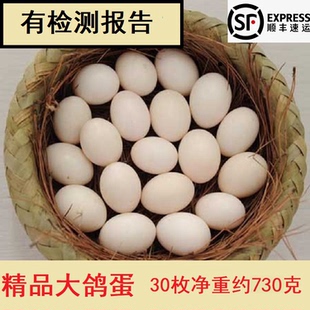 新鲜精品大鸽子蛋精选大鸽蛋信鸽蛋白鸽蛋土鸽30个江浙沪顺丰包邮