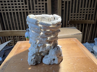 防跑海葵窝 绵绵葵 长须葵 管虫窝 定制珊瑚骨 爪洼石尺寸手工窝