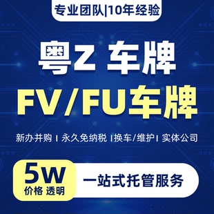 香港车牌办理深港车牌咨询粤Z牌照申请高新企业FV车牌指标年审