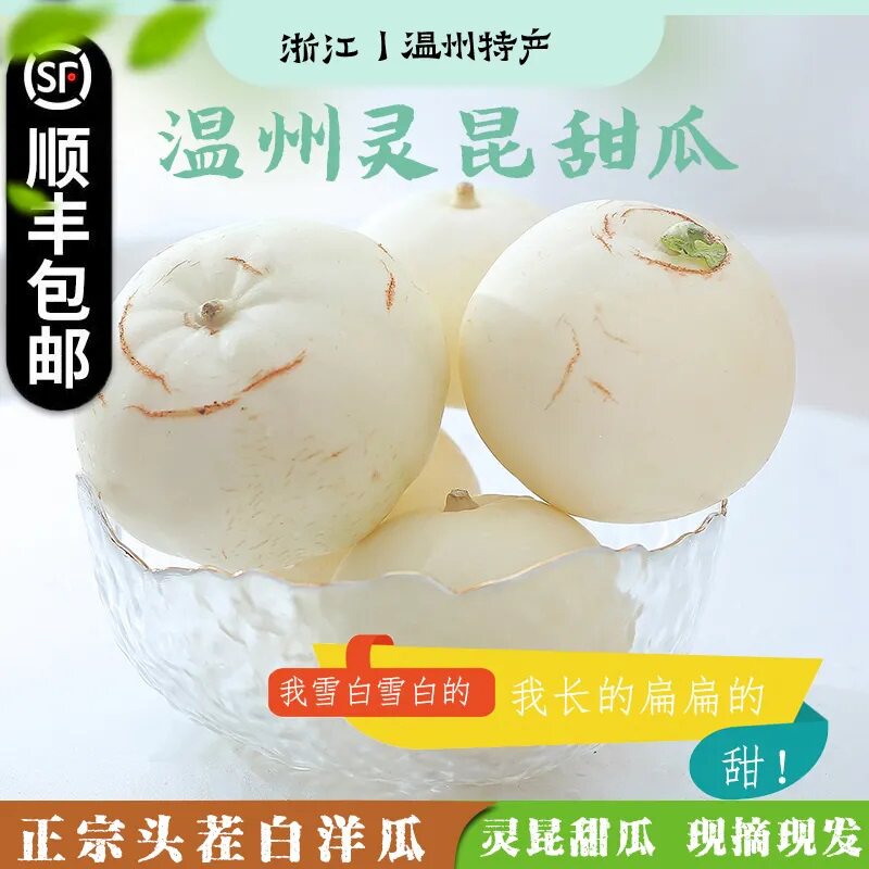 温州灵昆甜瓜当季新鲜水果白洋瓜脆甜白甜瓜头茬香瓜现摘白啄瓜