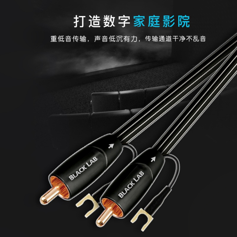 AQ线圣BlackLab黑拉布拉多炮线