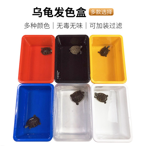 乌龟发色盒红黄蓝黑白周转箱