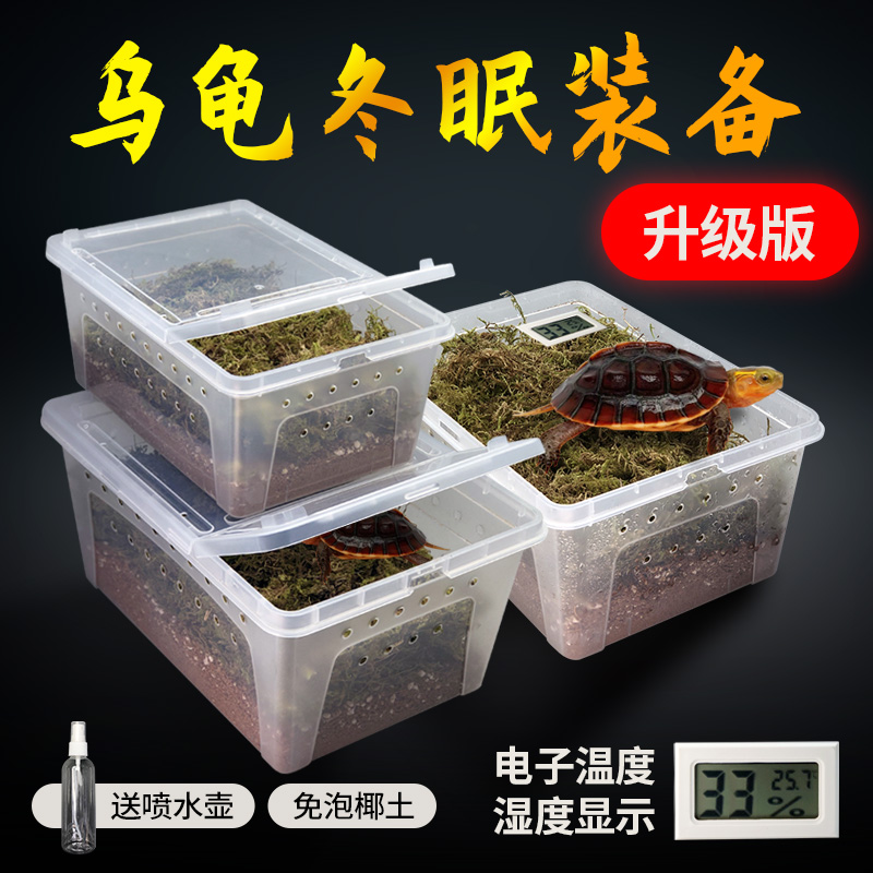 小乌龟冬眠装备椰土苔