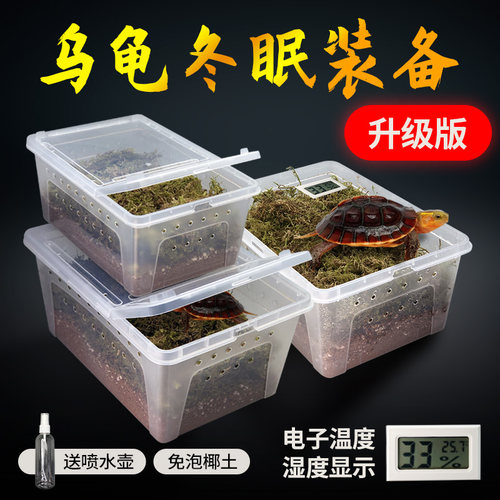 小乌龟冬眠装备椰土苔