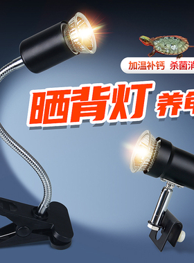 乌龟晒背灯太阳灯龟灯泡爬宠取暖uvb加热灯陶瓷灯恒温宠物鸡保温