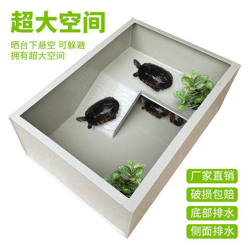 乌龟缸带晒台悬空躲避巴西草种