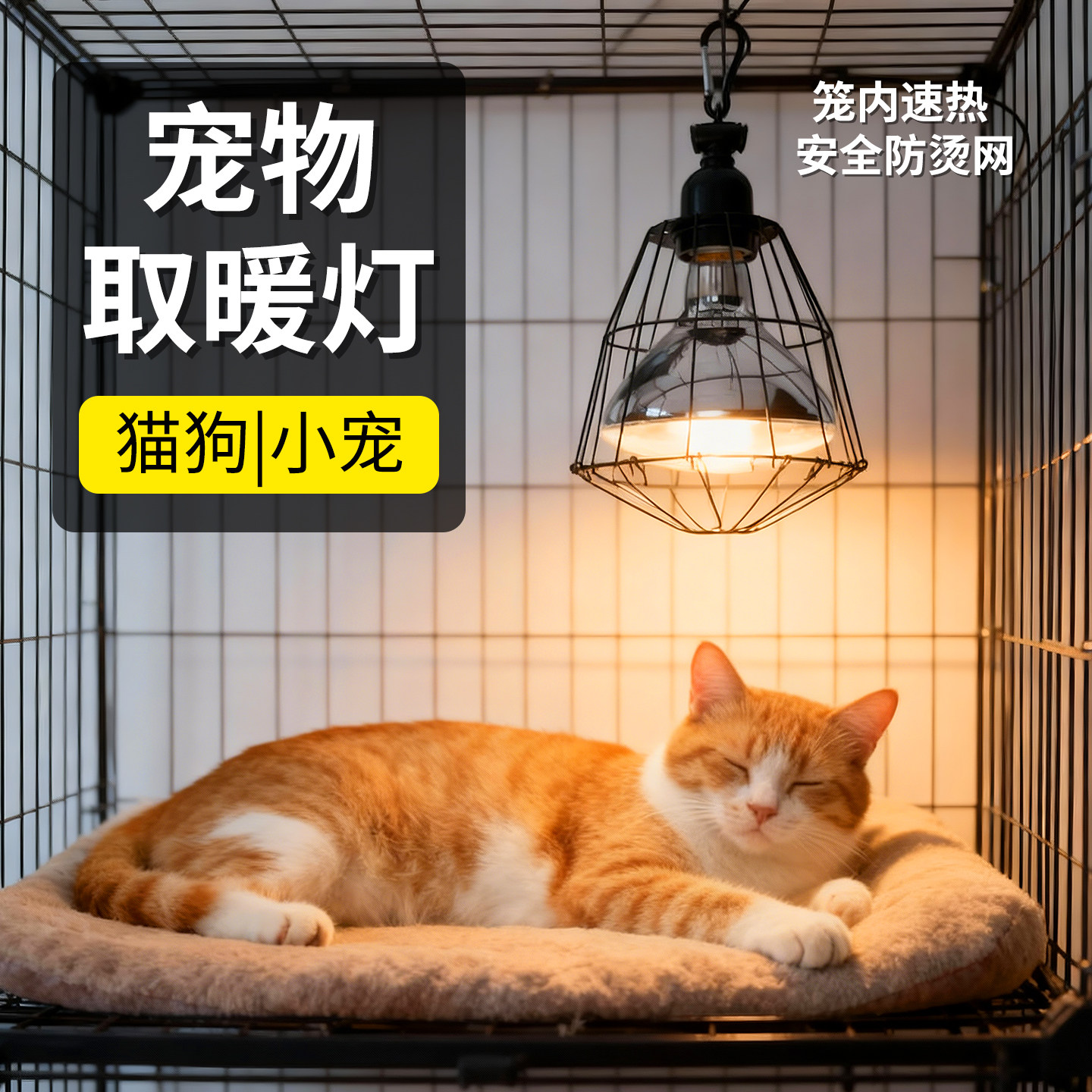 宠物冬季保暖加温灯猫爬宠寄居蟹笼用取暖器恒温发热暖灯笼内速热,宠物/宠物食品及用品,爬宠缸/箱,淘宝优惠券,粉丝福利购,淘宝优惠卷