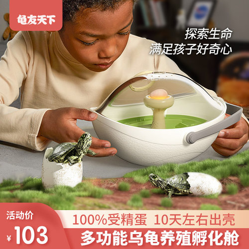 龟友天下可孵化乌龟蛋观察舱