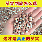 芡实新鲜2024干货中药材正品 旗舰店广东肇庆鸡头果斗鸡头米茨实粉