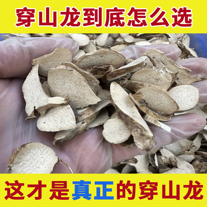 野生穿山龙中药材正品川地龙穿地龙串地龙穿龙骨地龙骨中草药泡酒