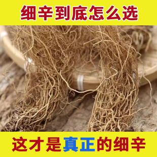 东北辽细辛中药材正品野生丁香灯盏细辛粉的功效辽宁细心北细辛根