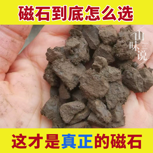 正宗药用天然磁石中药材正品灵磁石粉生吸铁石磁铁石矿石煅活磁石