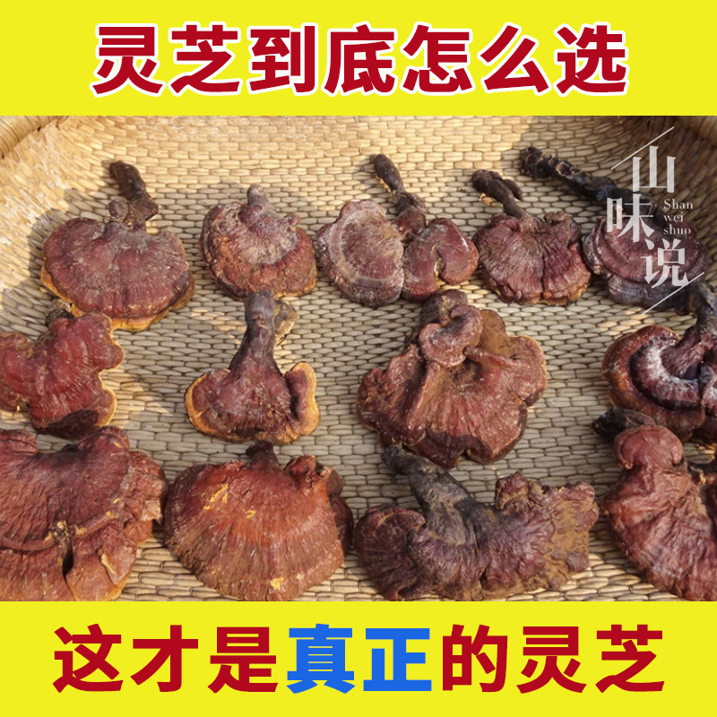 正宗神农架野生灵芝中药材正品官方旗舰店泡酒专用林芝整个紫灵芝