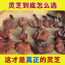 正宗神农架野生灵芝中药材正品官方旗舰店泡酒专用林芝整个紫灵芝