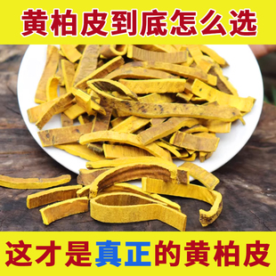 黄柏中药材正品官方旗舰店泡水的功效的作用黄柏皮多少钱一斤黄白