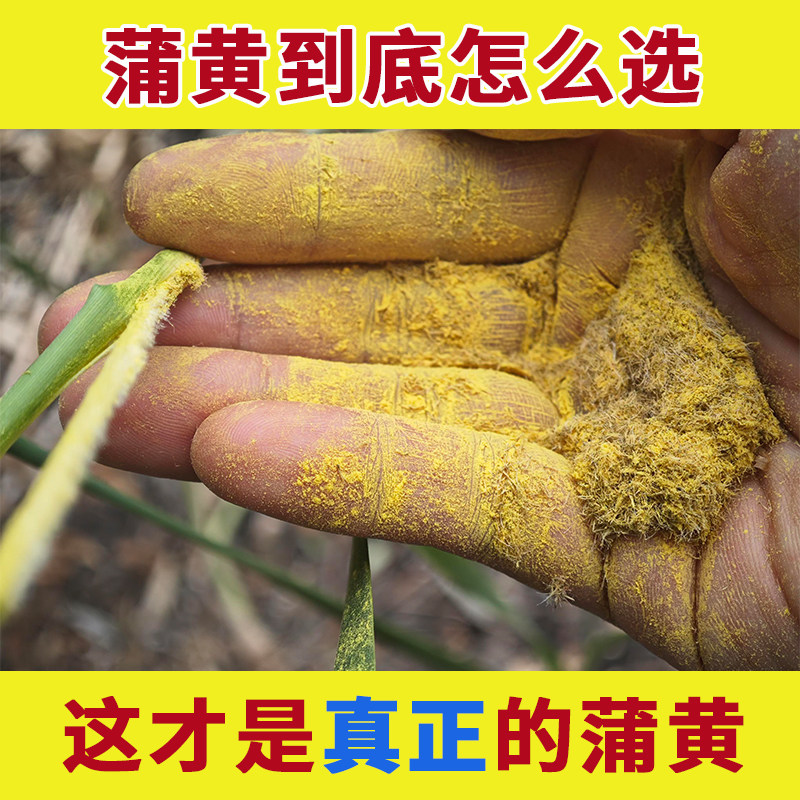 药用野生蒲黄中药材正品蒲黄粉浦黄莆黄天然生蒲黄花粉香蒲蒲草粉