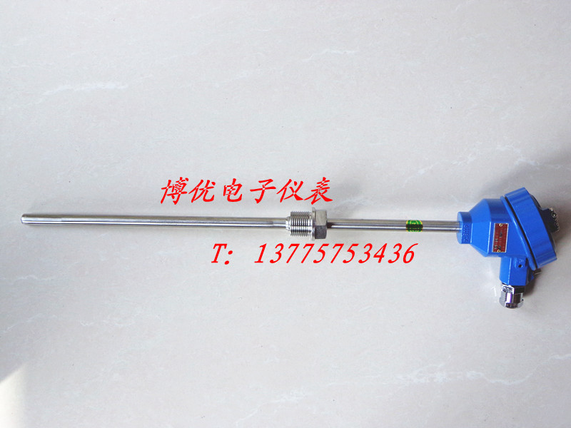 Pt100防爆热电阻/WZP-240/螺纹安装防爆热电偶/温度传感器探头