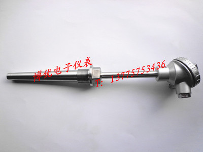 电站专用锥型热电偶/热电阻WRN-630 WZP-630 WRN-621 WRN-631